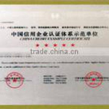 China Credit Example Certificate