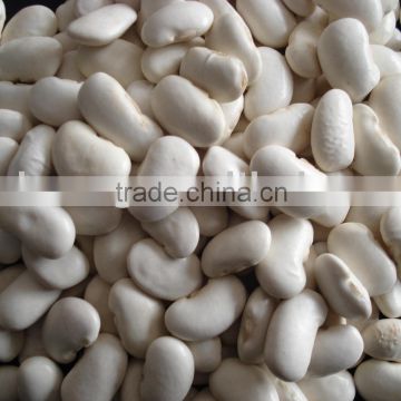 White Kidney beans