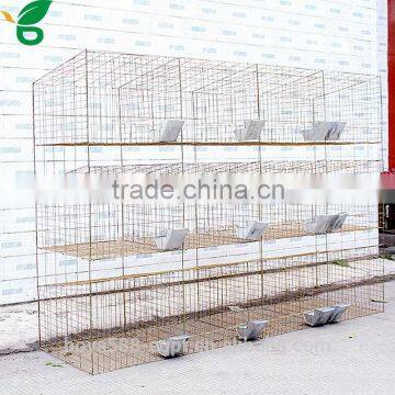 Factory Manufacture Rabbit Houses Design