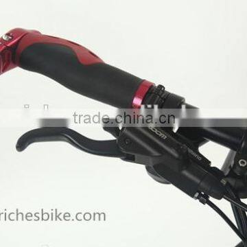 2015 New Model 26 Inch Sport Mountain Electric Bicycle E-bike (Model SKE26R) photo-5