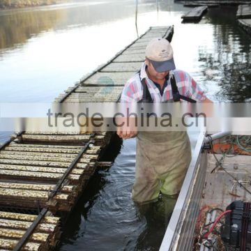 Spat Catcher Oyster Farming