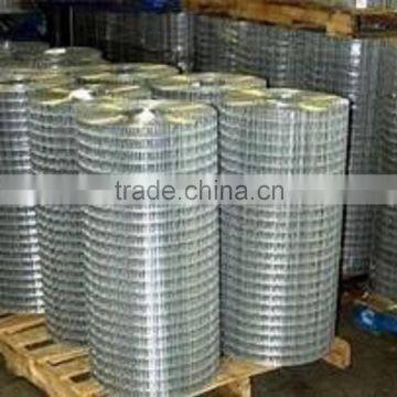 Hot Popular from Factory Welded Wire Mesh