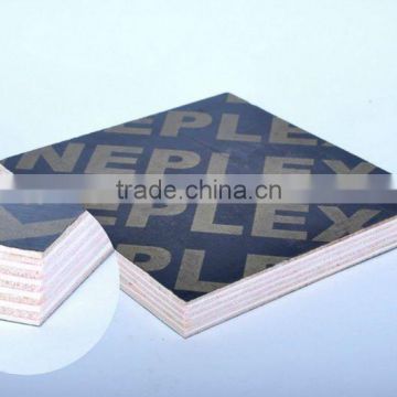 Black/Brown Film Faced Plywood From ShanDong