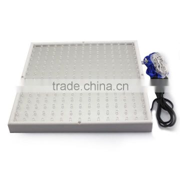 indoor plant led grow light 14w led light grow strawberry