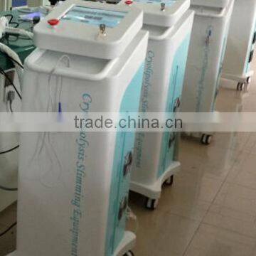Slimming Reshaping Hot Sale Beauty 8.4