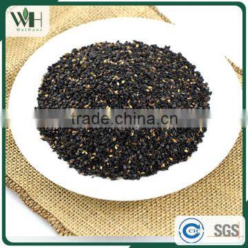 Paraguayan Sesame Seeds Manufacturers photo-4
