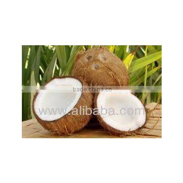 Fresh Indian Coconut