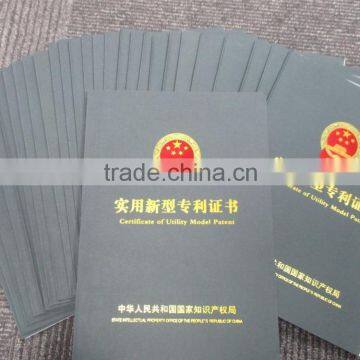 CE Certificate Chute Type Single Chute Color Sorter Rice Sorting Machine photo-2