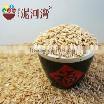 High Quality Chinese Hulled Oats, Naked Oats, Flat Oat Flakes, Rolled Oats Price photo-2