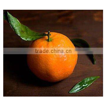 Sweet Mandarin Orange Fresh Pakistan