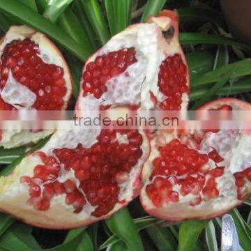 FRESH SWEET POMEGRANTE