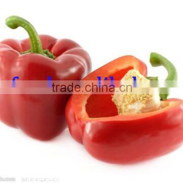 Fresh Bell Chilli