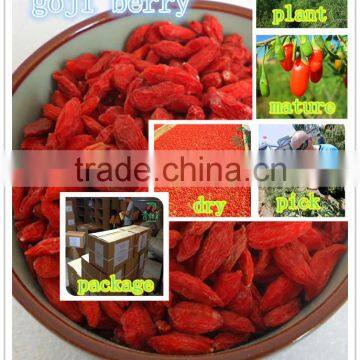 IQF Goji,frozen Goji Berry,new Season Wolfberry,dried Goji Berry photo-2