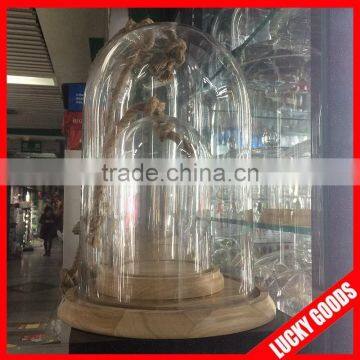 hot sale decorative cheese glass dome display with string