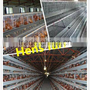 Chicken farm project poultry farming equipment for sale Broiler batteries cage for laying hens