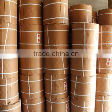 PP Packing Strap photo-2