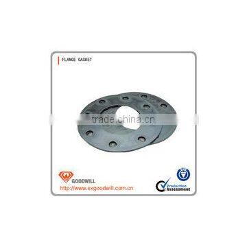 Pipe Flange Fitting Gasket photo-6