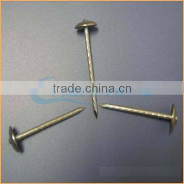 Top Quality Umbrella Head Screw Rod Roofing Nails Trusted Chuanghe Suppliers From Com photo-5