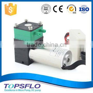 High Performance 6V 12V 24V Diaphragm Mini Air Pump