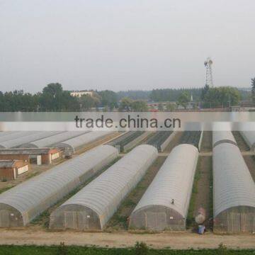 Single-Span Hot-Dip Galvanized Steel Pipe Frame 200mm PVC Film Covered Greenhouse photo-6