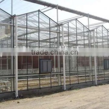 Standard Used Glass Multi Span Greenhouse