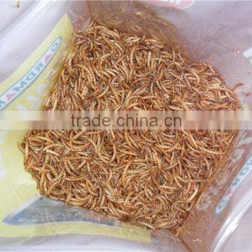 Organic Fish Food Mealworms, Pigeon Feed photo-3