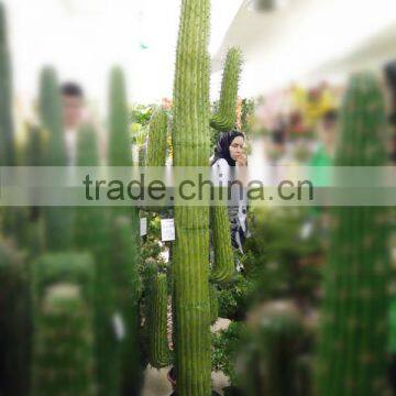 CHY030926 Artifiical 70cm Cactus Modern Home Decoration photo-2