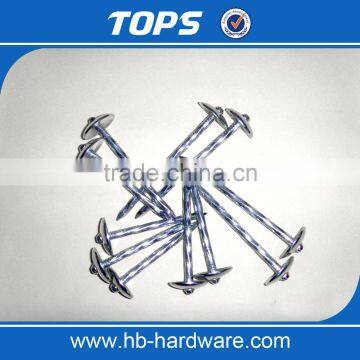 Galvanized Surface Treatment Umbrella Head Roofing Nails photo-4