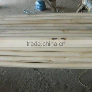 Raw rattan cane polish all sizes