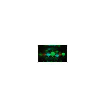 Photoluminescent Pigment