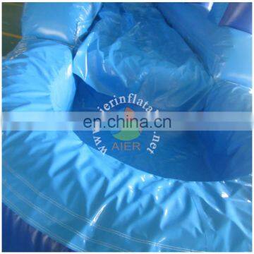 2017 Newest Inflatable Slide/long Slide Lane/ Inflatable Water Slide for Sale photo-4