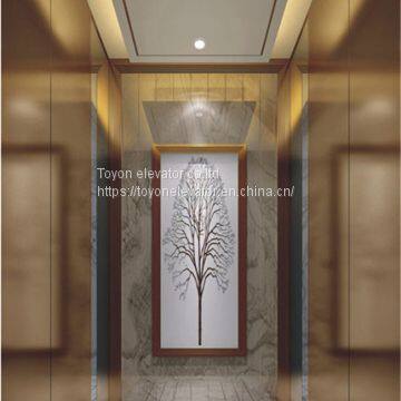 Toyon Villa Lift for Residential and Home Elevator