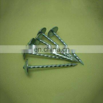 Good Quality Galvanized China Corrugated Roofing Nails