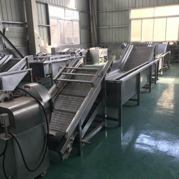 All-in-one Production Line Vegetable Rinse