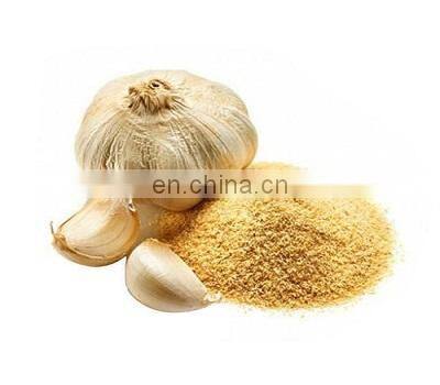 Garlic Powder single spice Vietnam high quality