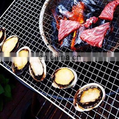 High Quality Steel BBQ Wire Mesh Barbecue Grill Netting in China