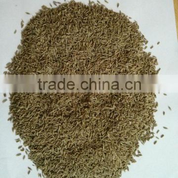 Cumin Seeds