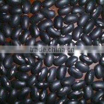 black kidney beans