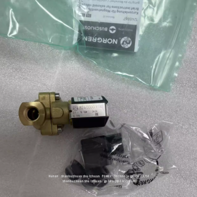 8240000.9101.024.00,Buschjost,Solenoid Valve,G1/4'Thread,24DC photo-2
