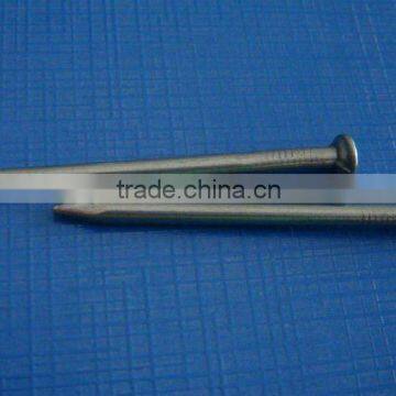 high quality polished common iron nail