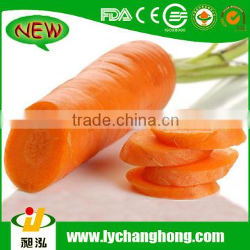 2014 Carrot Price