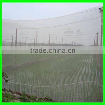 Dense Small Net Anti Insect Netting Crop Veg Protection photo-6