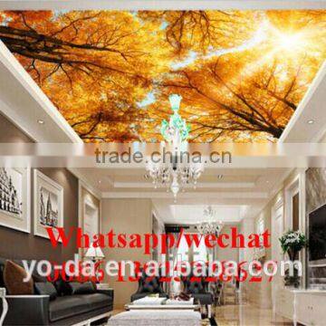 High Resolution Large Format Acrylic uv Printer / Flex Banner uv Hybrid Printer With KM1024i photo-2