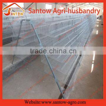 Design hot sale quail cage for laying