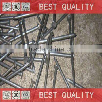 Common Wire Nails Common Nails