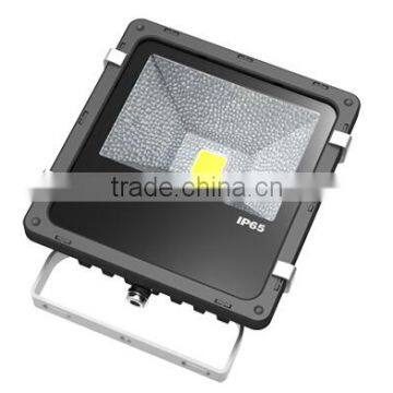 Golon 2015 Outdoor IP65 waterproof 20w flood LED light with factory price