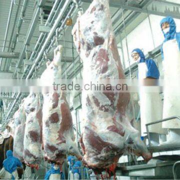 Cow Slaughter Slaughter Line for Cattle Cattle Slaughter Line