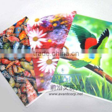 3D PP file folder