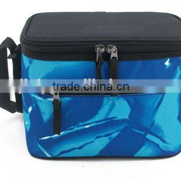 Fashion design cooler bag for frozen food