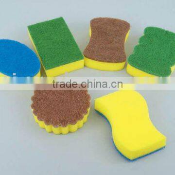 Sponge Scouring Pad